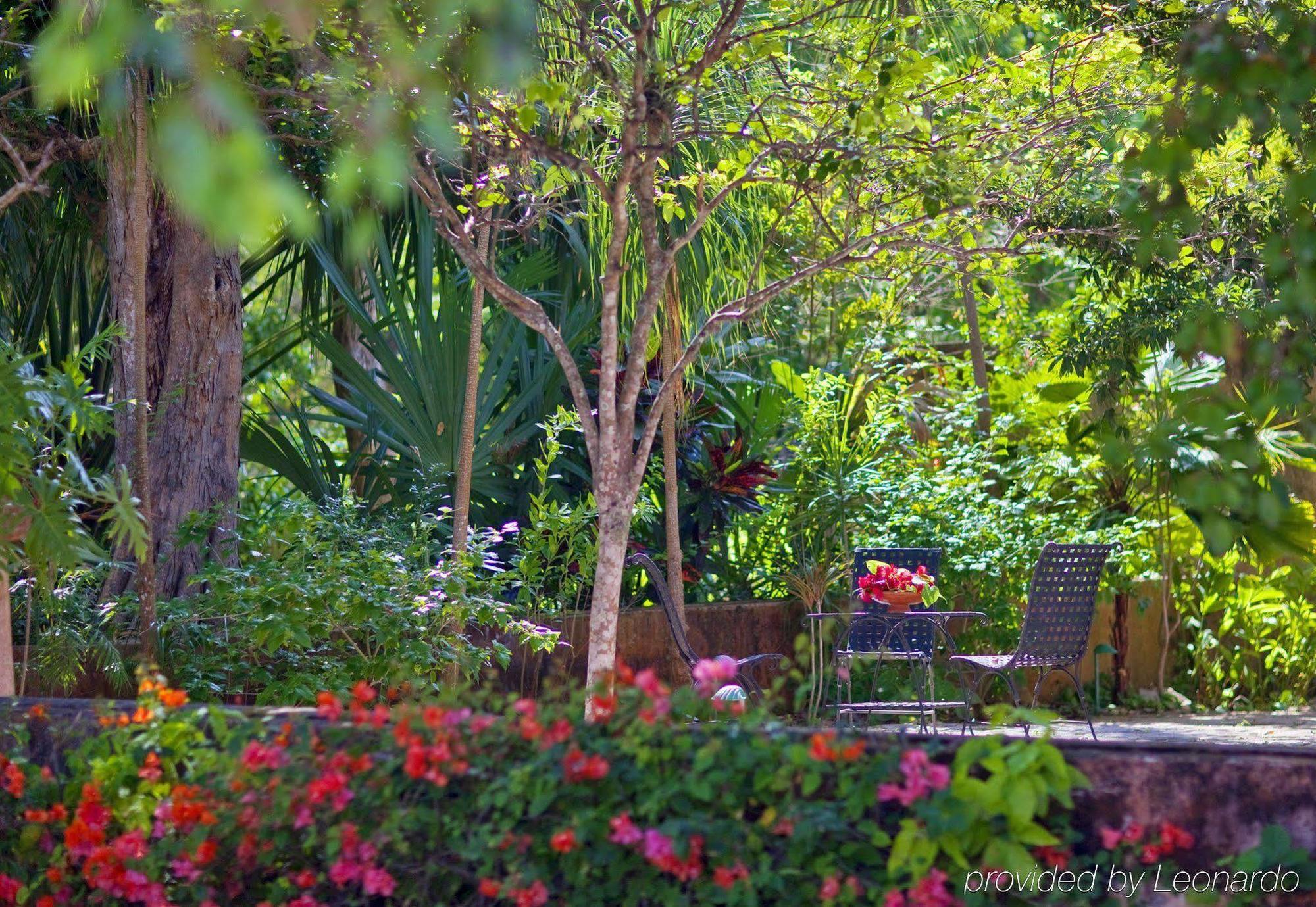 Hacienda Santa Rosa a Luxury Collection Hotel Exterior foto